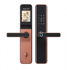Digital Door Smart Lock Competitive price Fingerprint Tuya APP With Camera