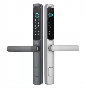 Waterproof Smart Door Lock Biometric Door Lock TTlock App Wifi Electronic Digital Lock