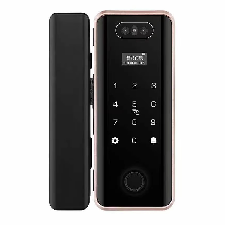 3D Face Recognition Glass Door Lock-1.jpg