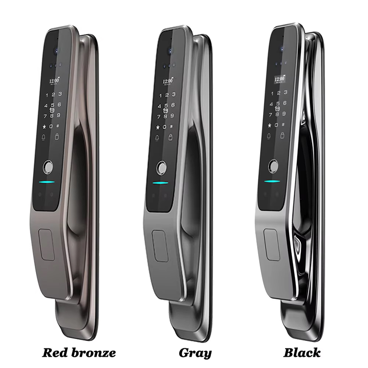 3D Face Camera Smart Lock-11.jpg