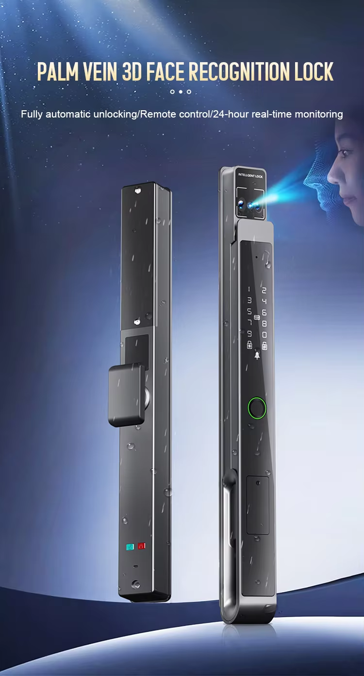 Smart lock with face H13 (1).jpg