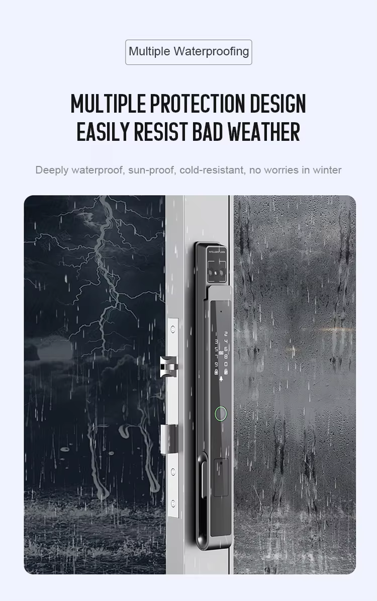 Smart lock with face H13 (9).jpg