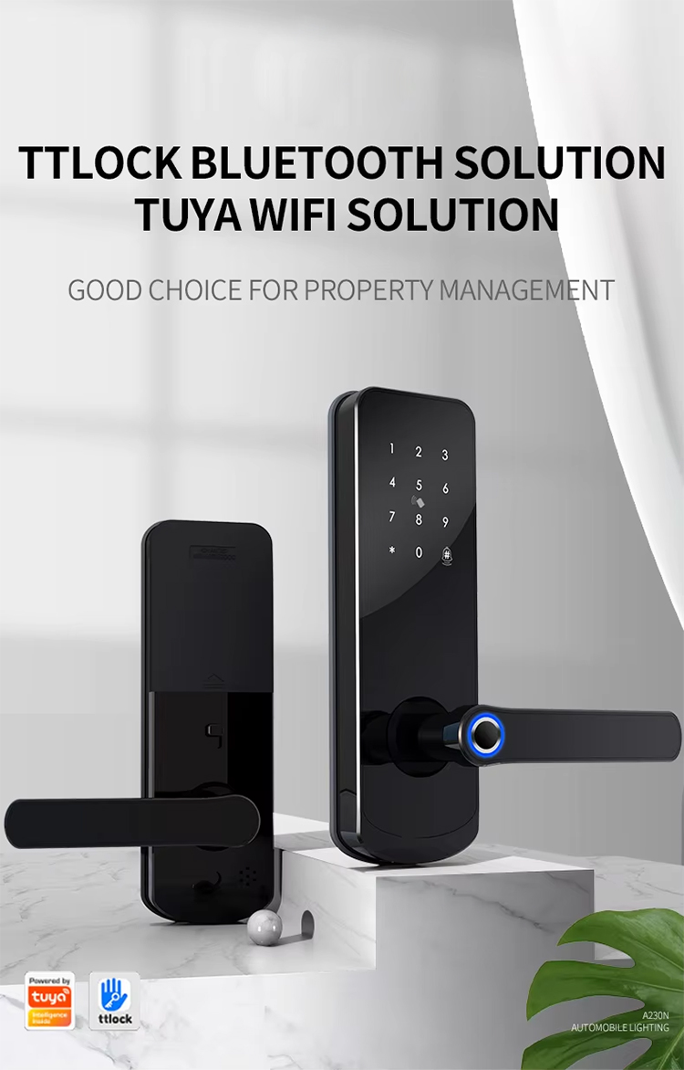 smart lock liwo (7).jpg