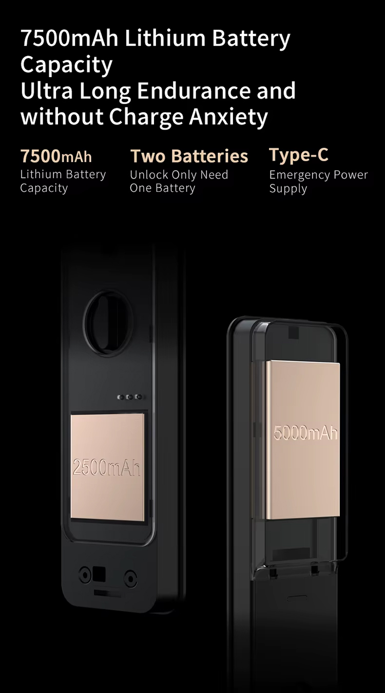 1765271785931185.jpg 3D Face Smart Lock (9).jpg