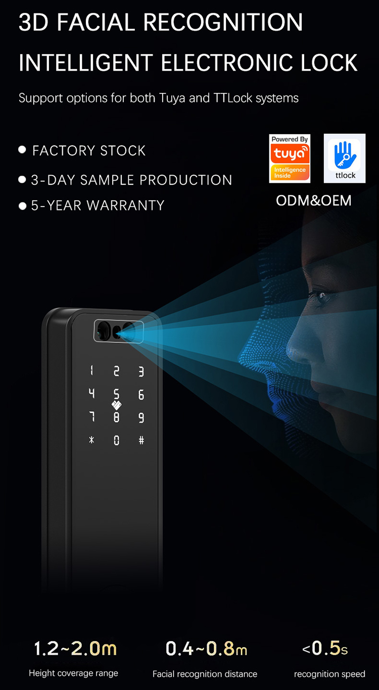 1765371420390321.jpg 3D Face Recognition Smart Lock With Handle 1.jpg