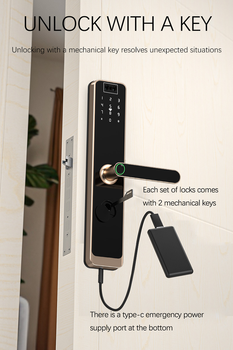 1765371486650327.jpg 3D Face Recognition Smart Lock With Handle 9.jpg